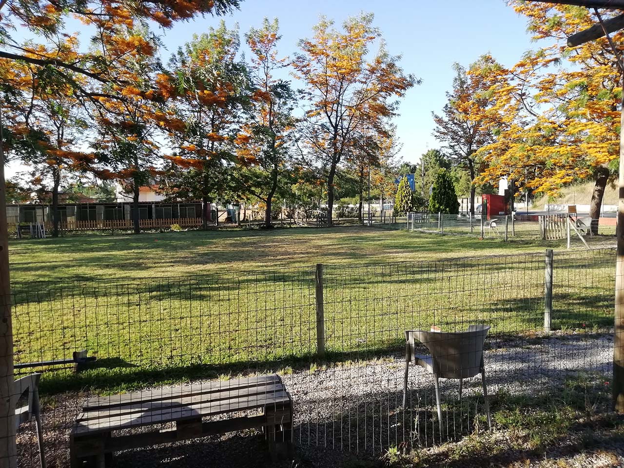 Campo de Treino