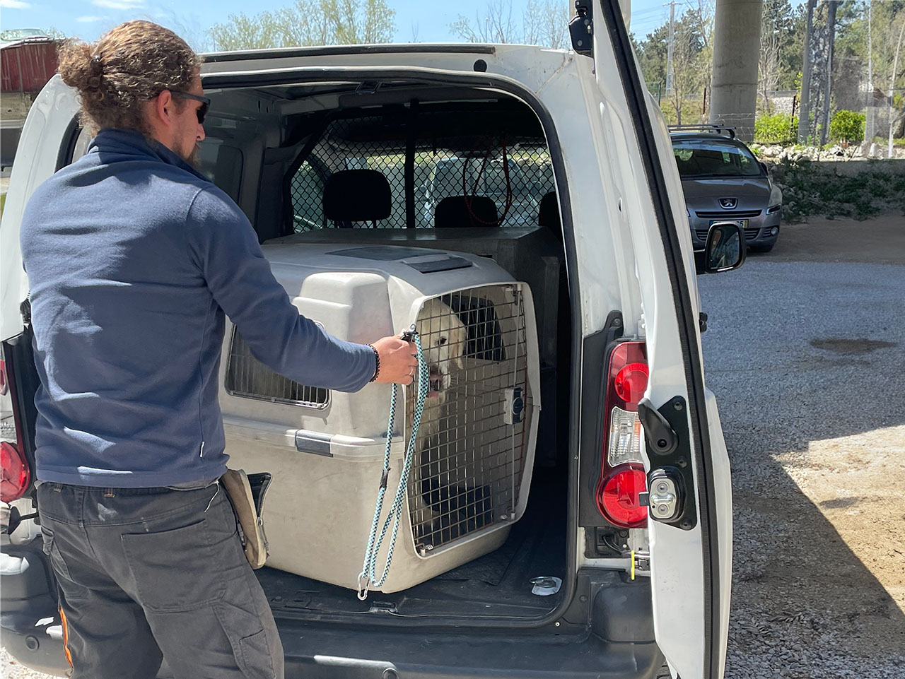 Transporte Canino Quinta d'Alcateia